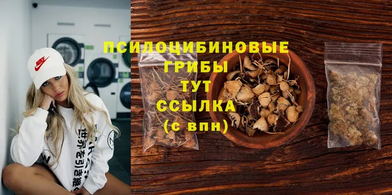 Галлюциногенные грибы Magic Shrooms  купить   Барабинск 